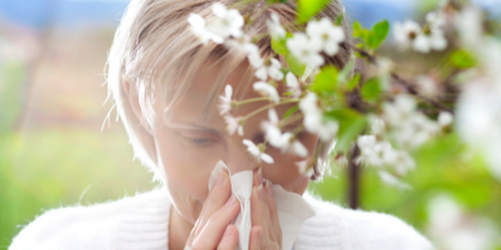 Pollen, pollenallergi og høysnue