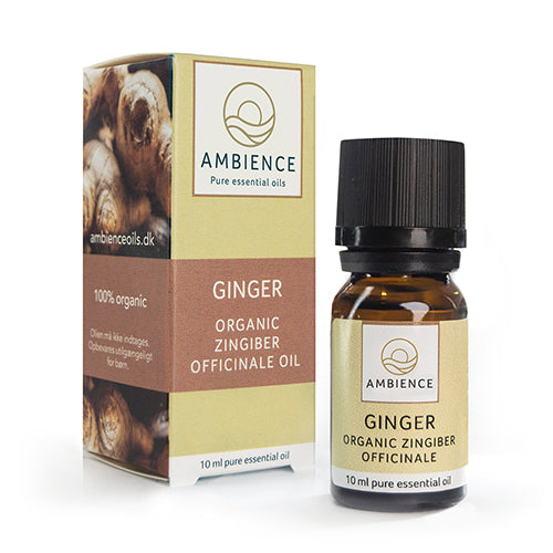 Ingefærolje, Øko fra Ambience