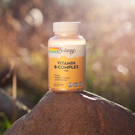Vitamin B-Kompleks 100 fra Solaray