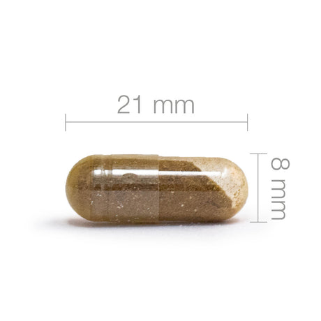 Tempel Plus m. Ginkgo Biloba fra Mezina