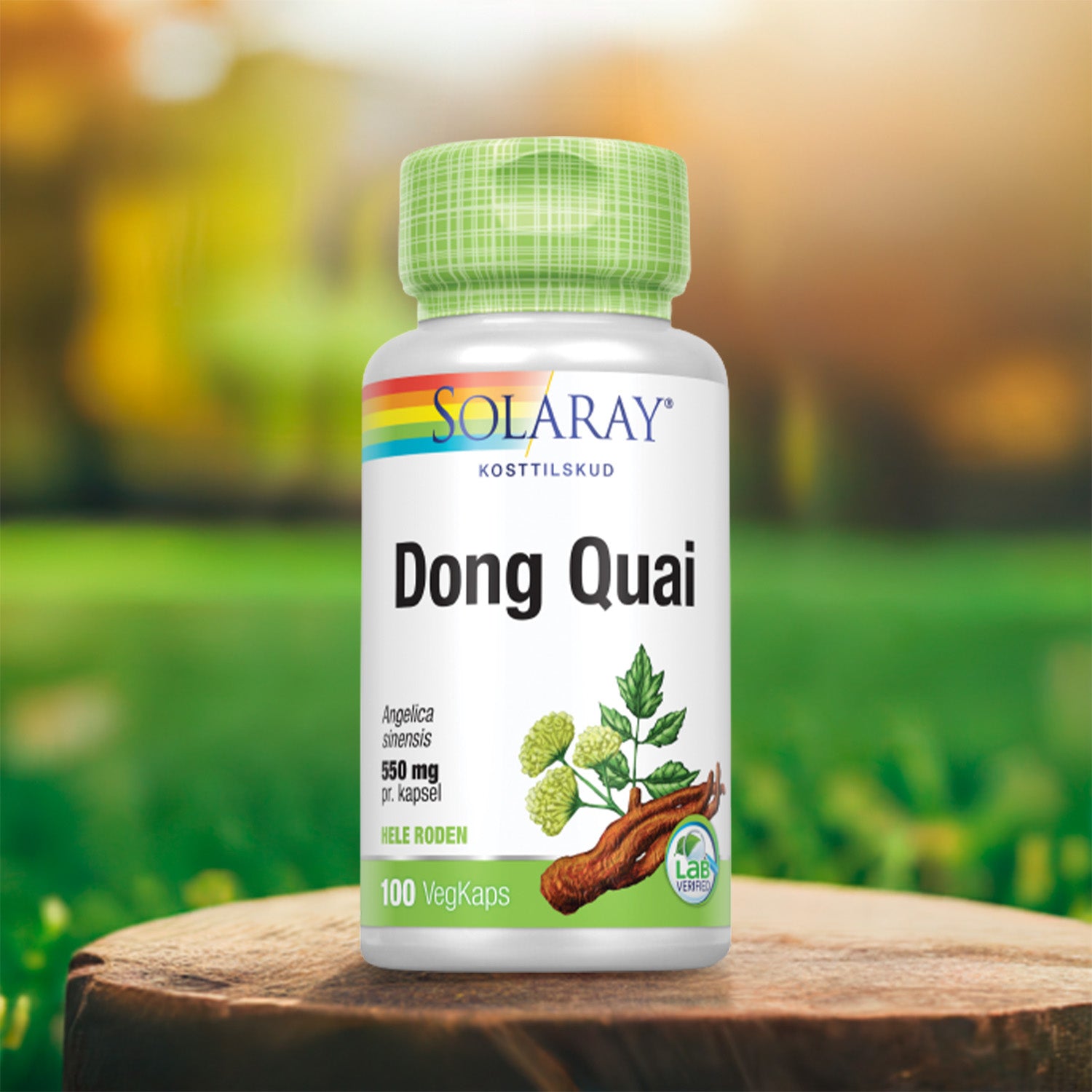 Solaray Dong Quai | 100 kapsler fra Solaray