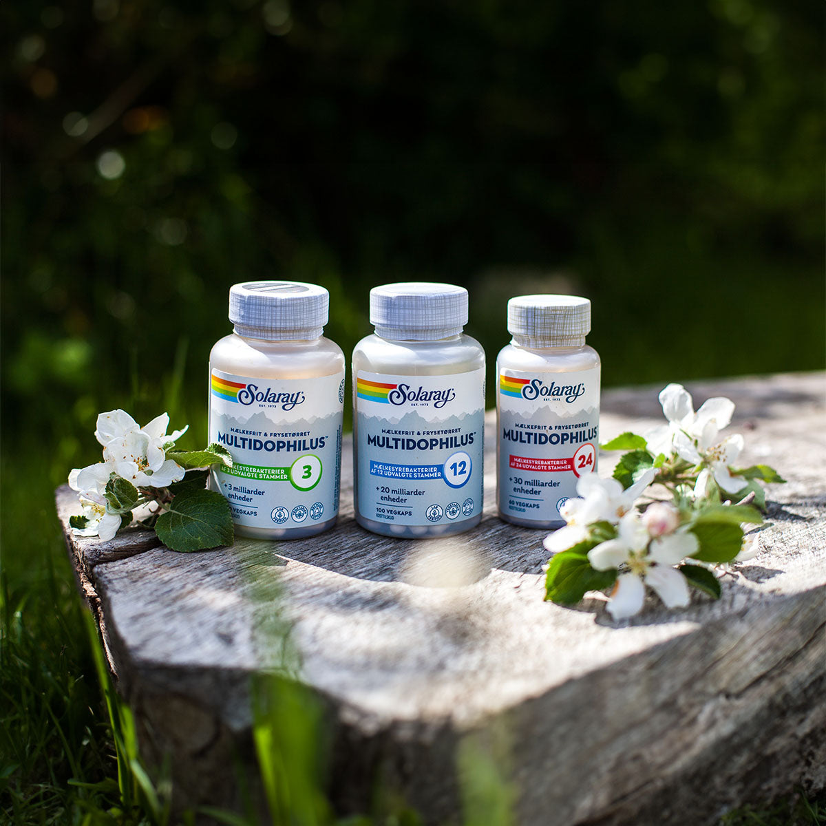 Multidophilus 3 Melkefri fra Solaray