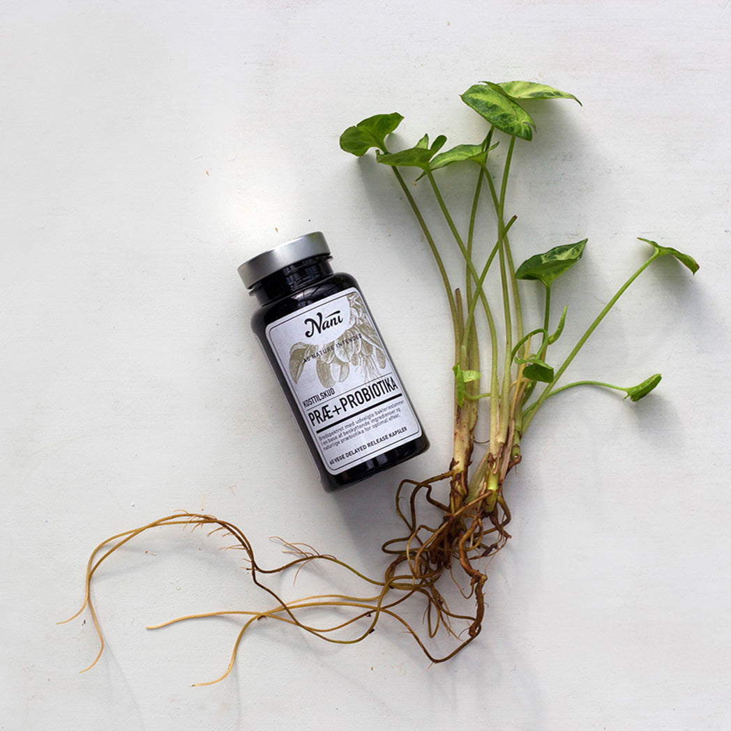 Pre + Probiotika fra Nani