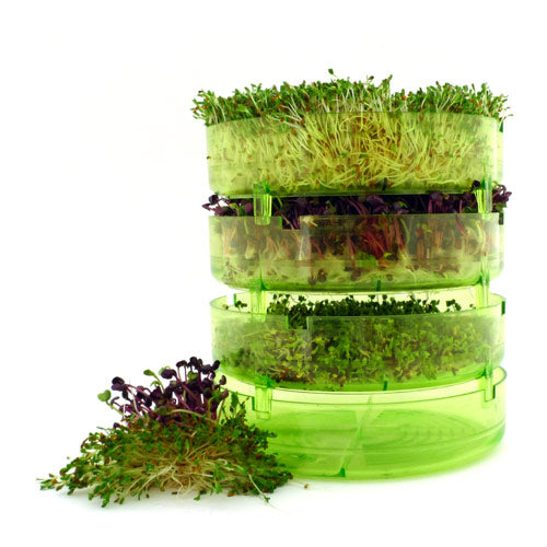 GEO Spire Sprouter fra GEO