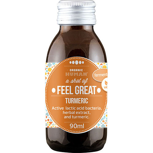 Human Fermenteret Gurkemeieshot Økologisk fra Human