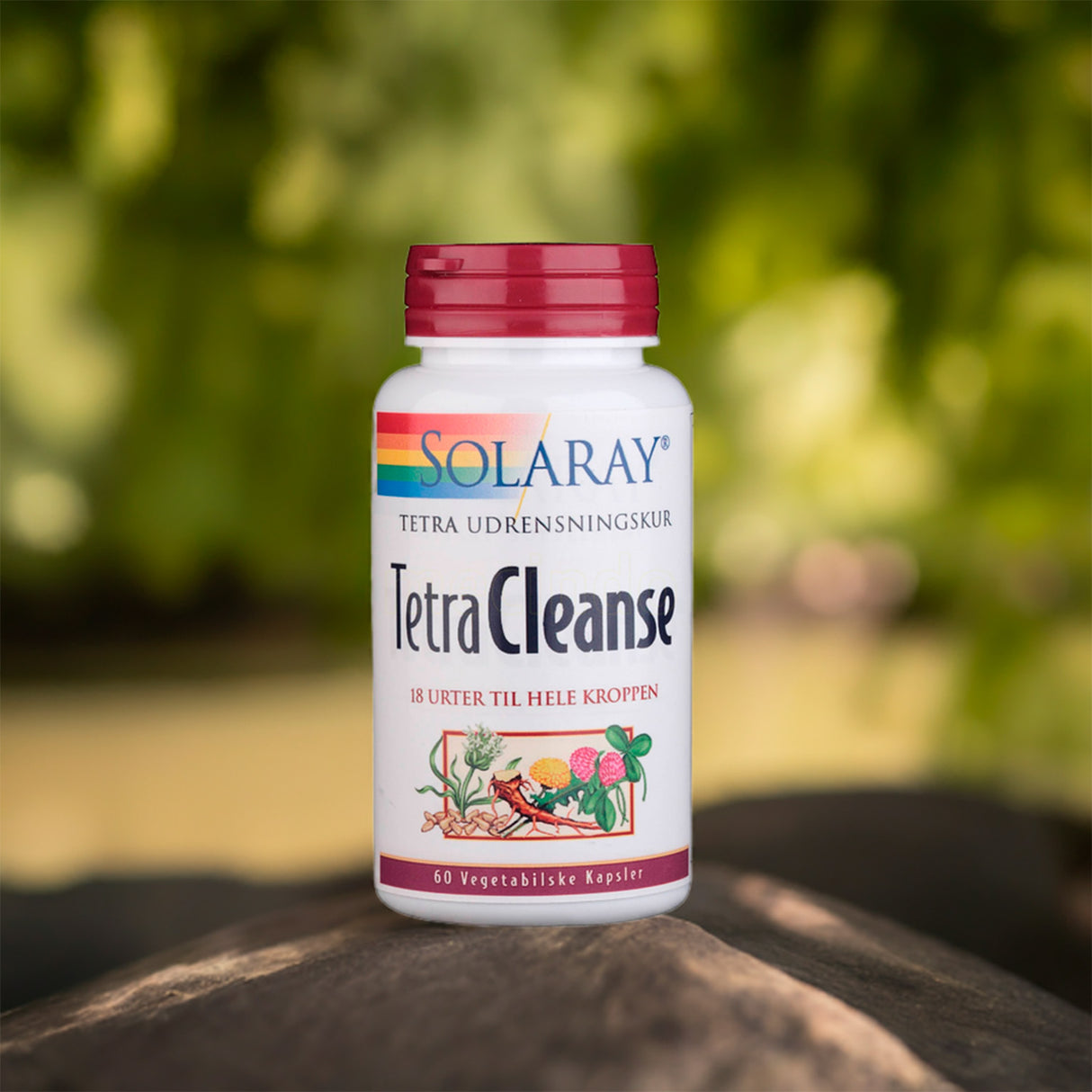 Solaray Tetracleanse | 60 kapsler fra Solaray