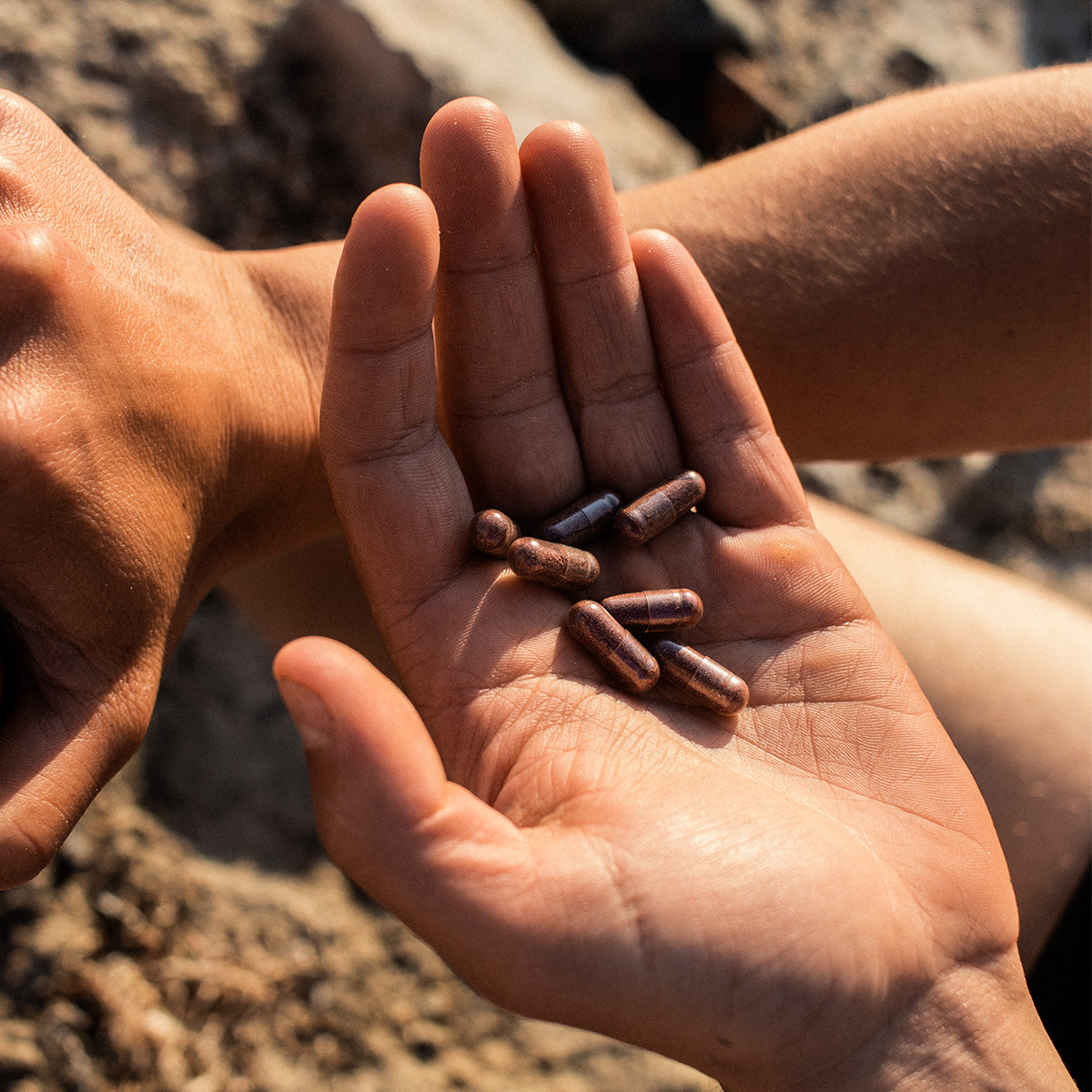 NORDBO Double Sun | 50 kapsler fra NORDBO