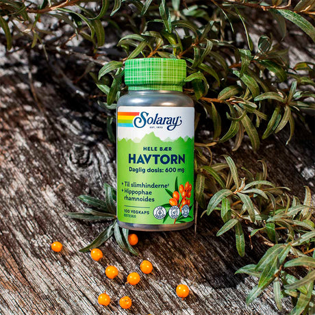 Tindved (havtorn) fra Solaray