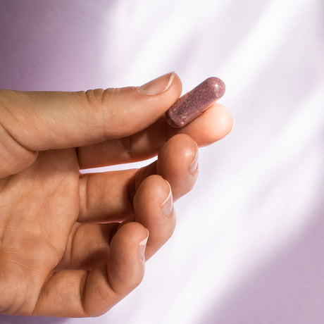 NORDBO Elderberry Defence | 60 kapsler fra NORDBO