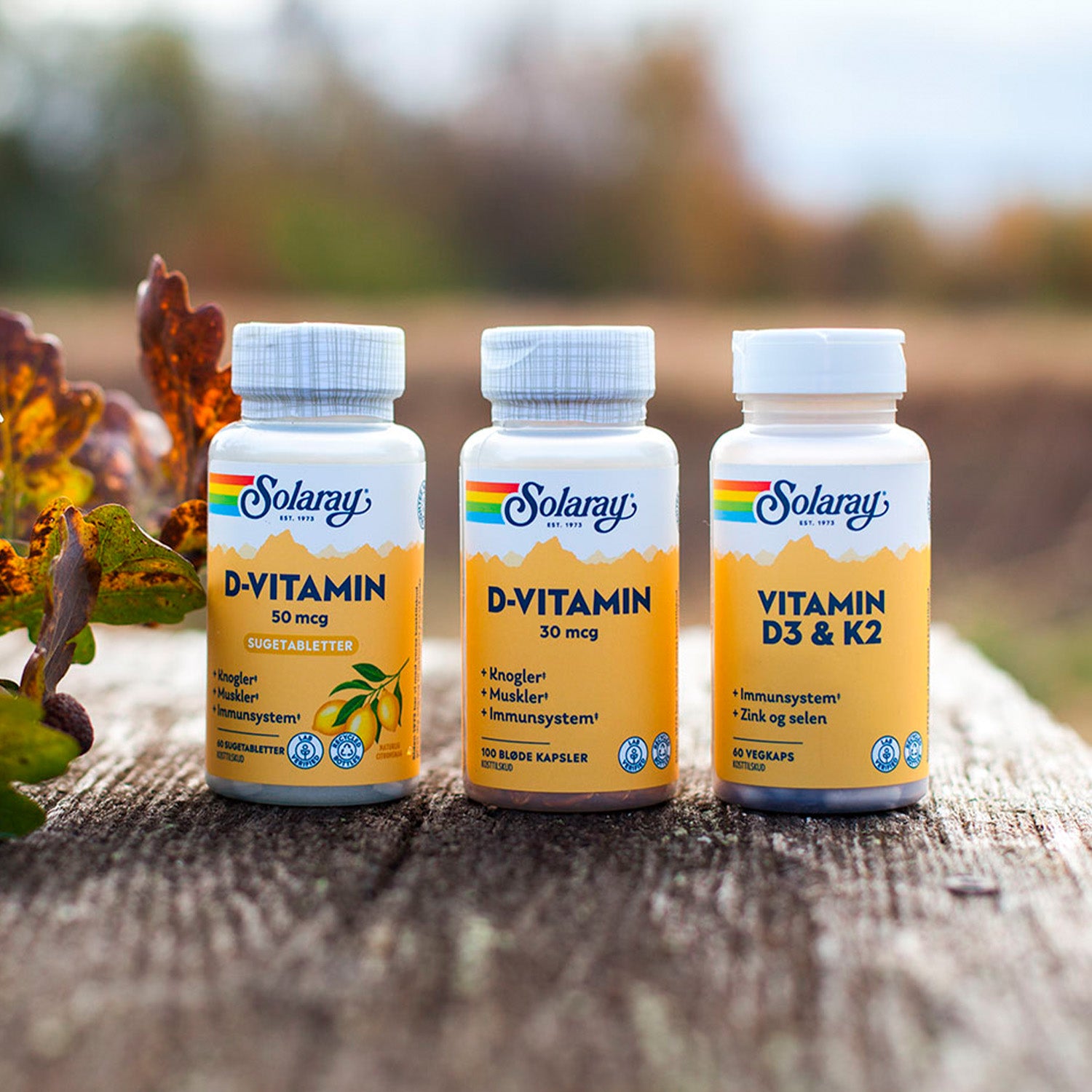 Solaray Vitamin D3 & K2 | 60 kapsler fra Solaray