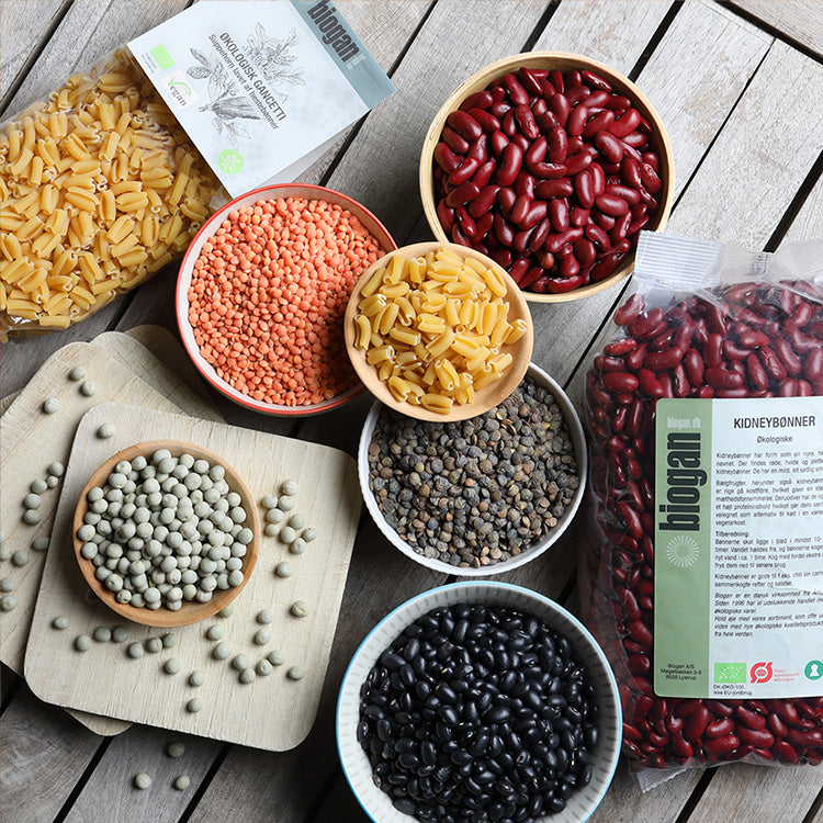 Kidneybønner Øko fra Biogan