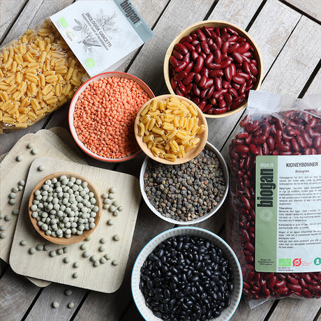 Kidneybønner Øko fra Biogan