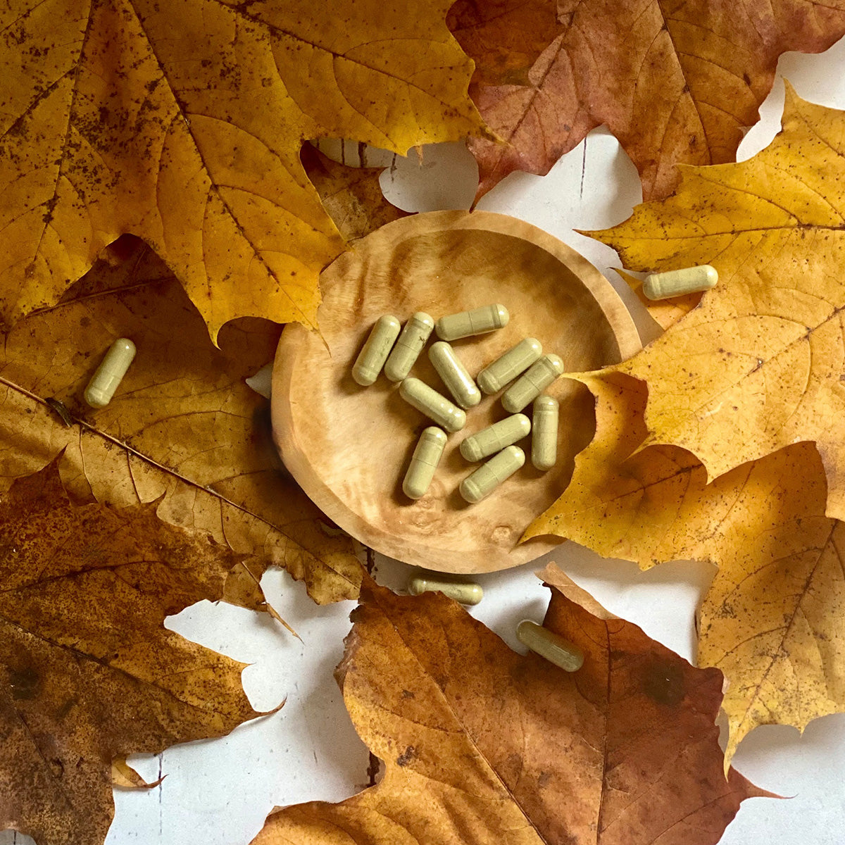 Natur-Drogeriet Urte-pensil | 90 kapsler fra Natur-Drogeriet