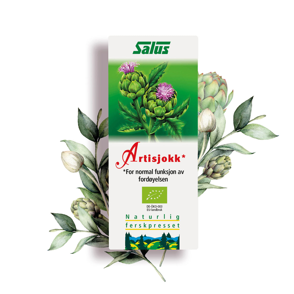 Salus Artiskoksaft Schönenberger Ø | 200 ml fra Salus