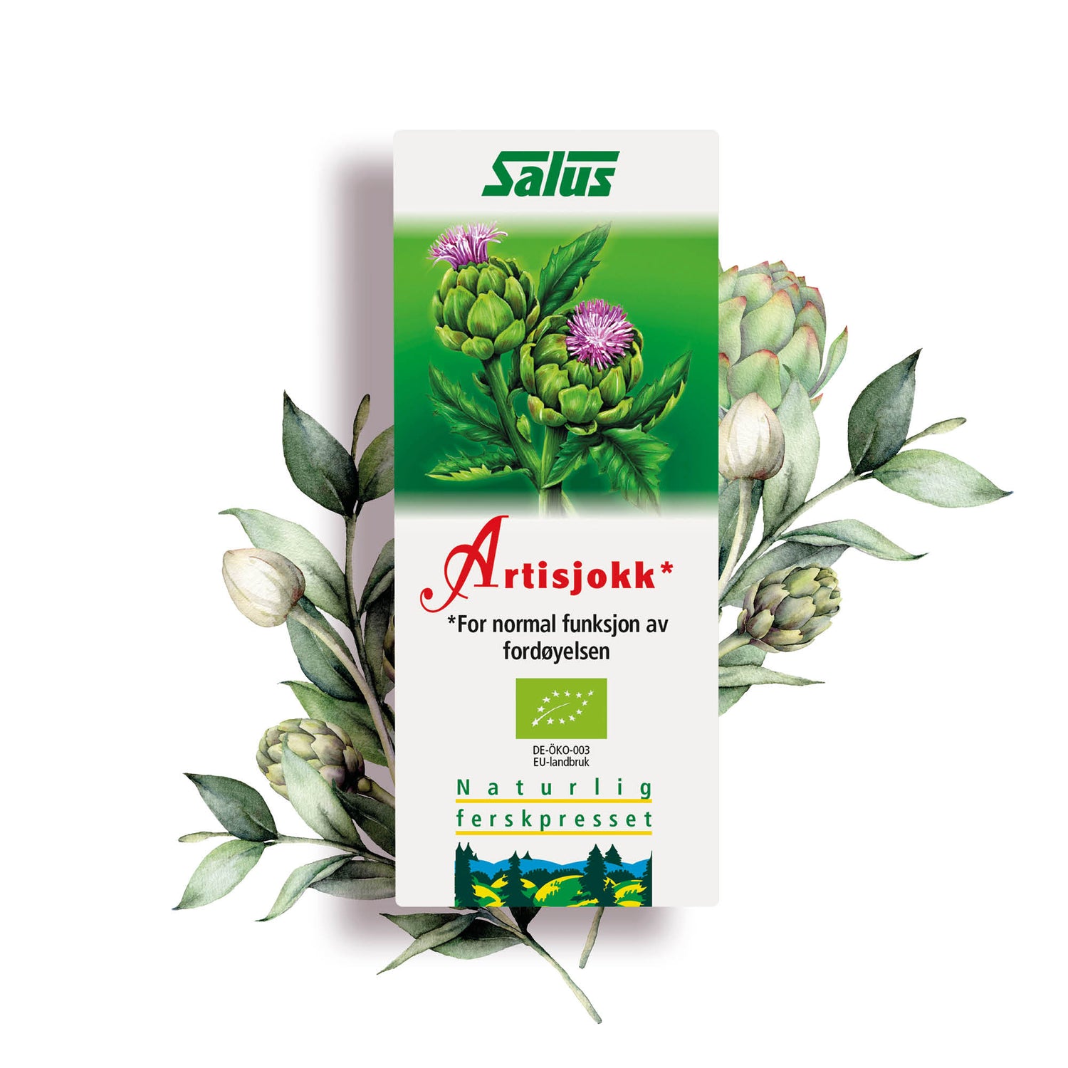 Salus Artiskoksaft Schönenberger Ø | 200 ml fra Salus