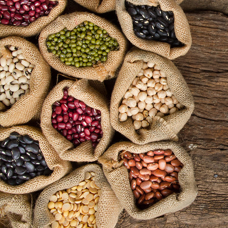 Favabønner/hestebønner Øko fra Biogan