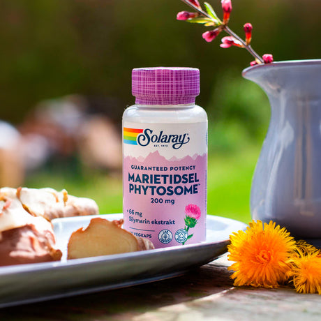 Mariatistel Phytosome fra Solaray