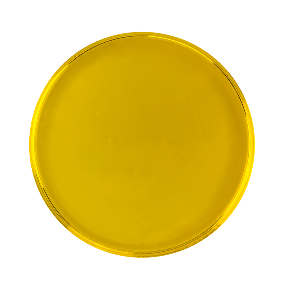 Økologisk Bringebærkjerneolje (100 % ren) fra Naturligolie