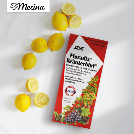 Floradix Kräuterblut Urte-Jernmikstur Flytende Jern med Urter fra Salus