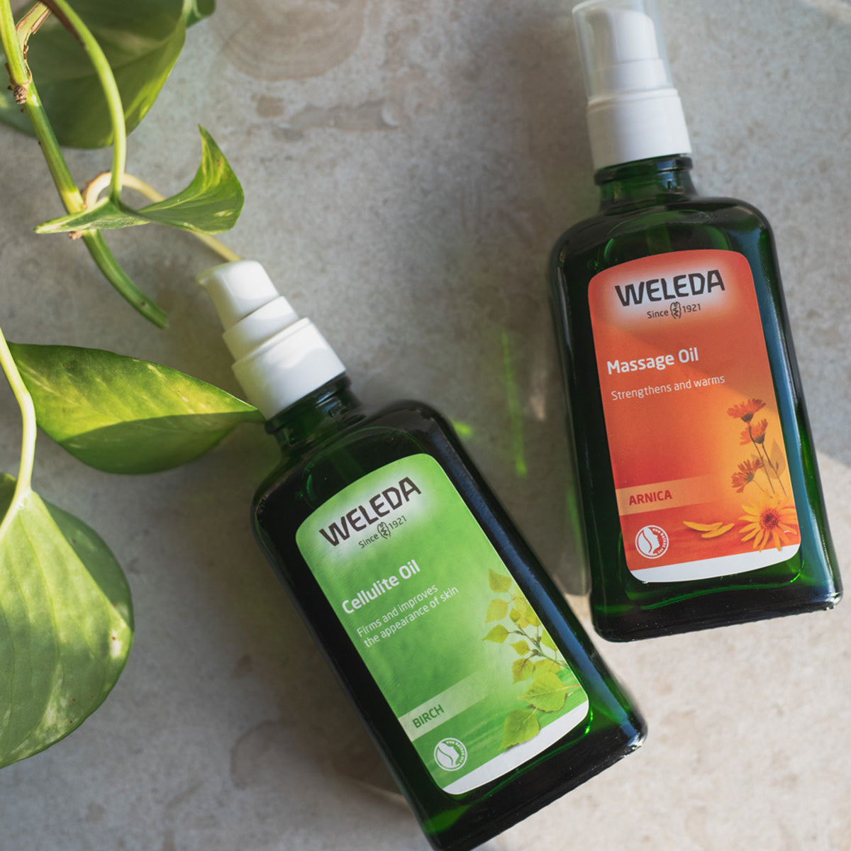 Birch Cellulite Oil fra Weleda