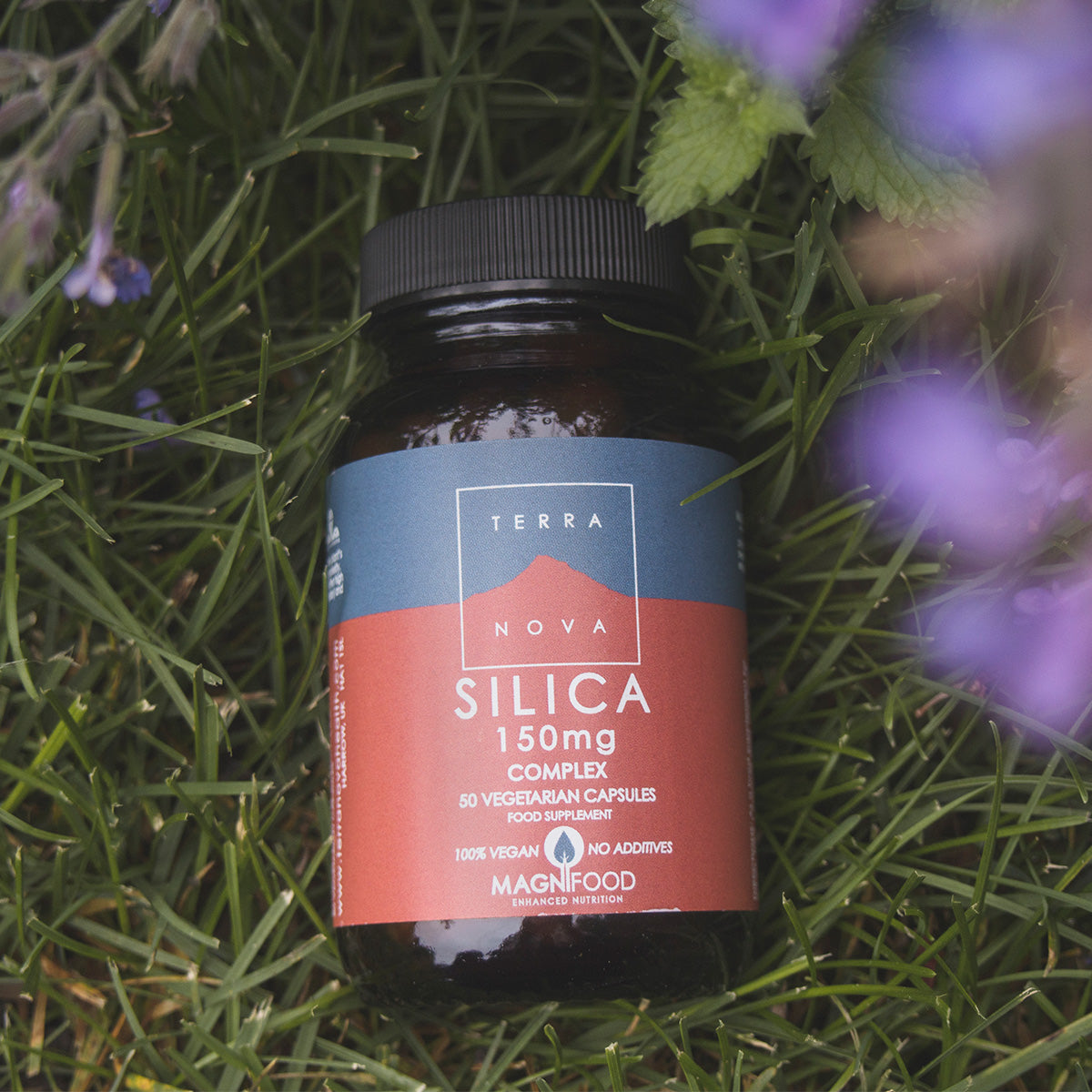 Terranova Silica Complex | 50 kapsler fra Terranova