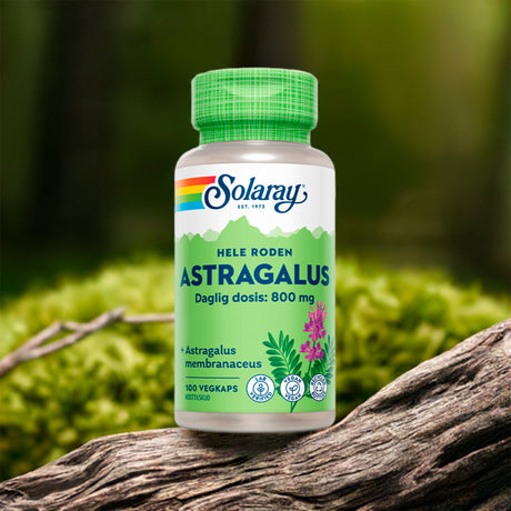 Solaray Astragalus | 100 kapsler fra Solaray