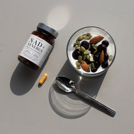 NORDBO Nad+ Synergy | 40 kapsler