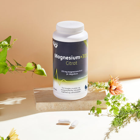 Biosym Magnesium+300 Citrat | 160 kapsler fra Biosym