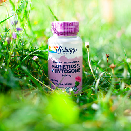 Mariatistel Phytosome fra Solaray