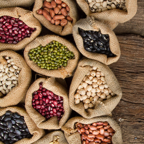 Sorte Bønner Øko fra Biogan