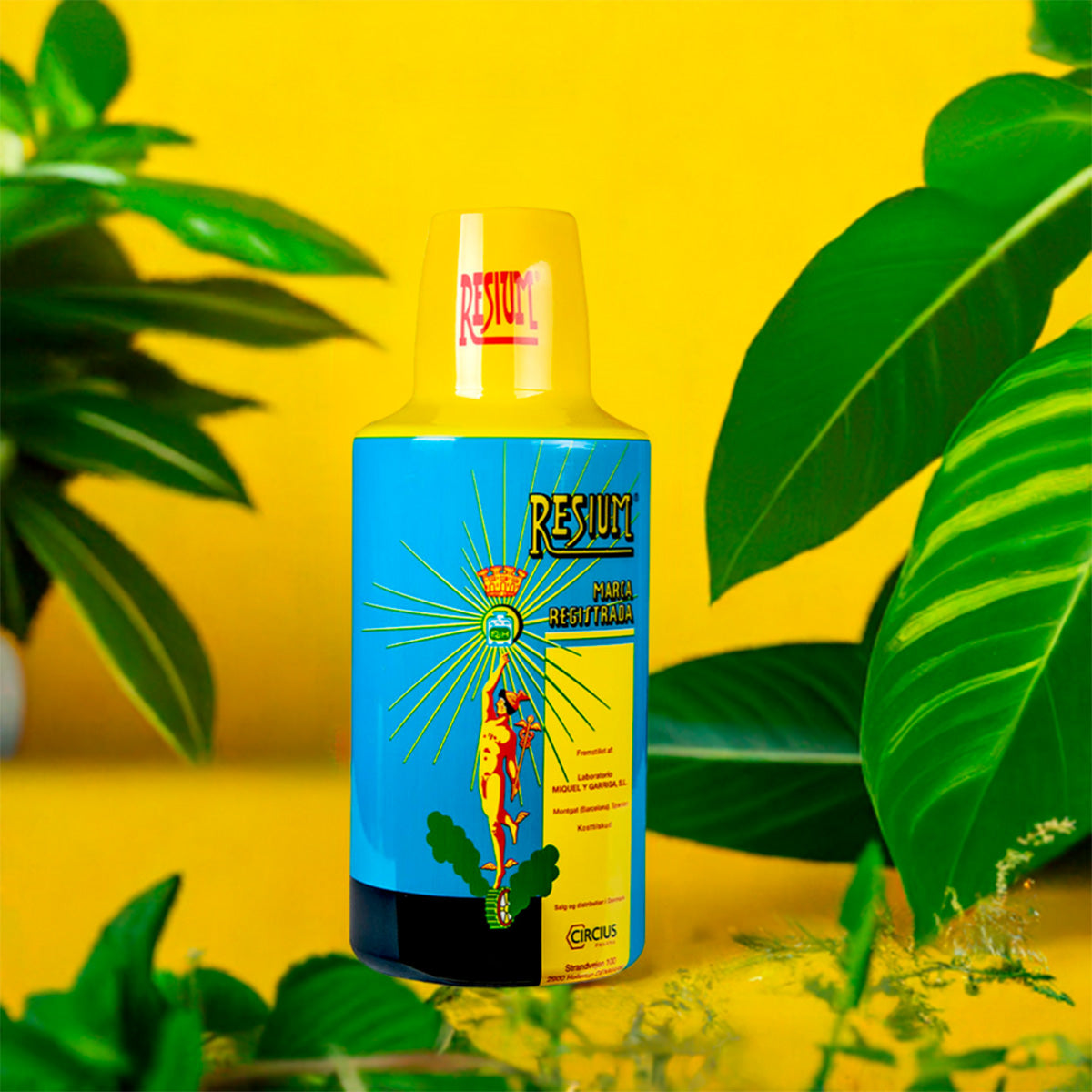 Urteekstrakt fra Resium