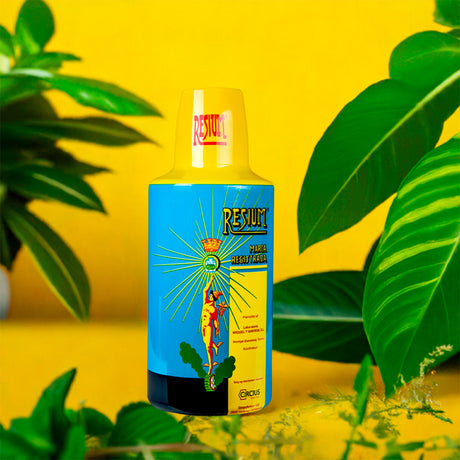 Urteekstrakt fra Resium