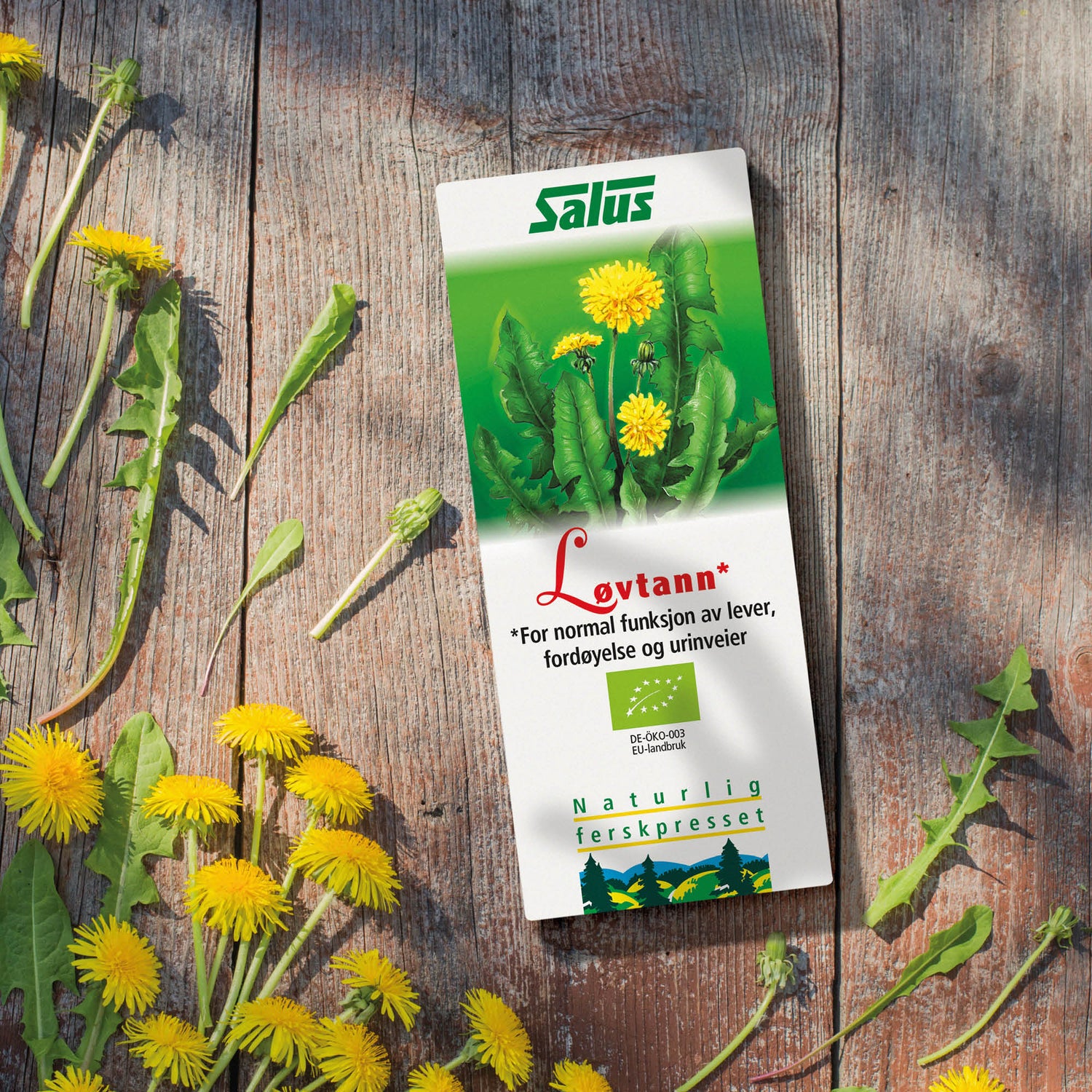 Løvetann Schönenberger Øko fra Salus