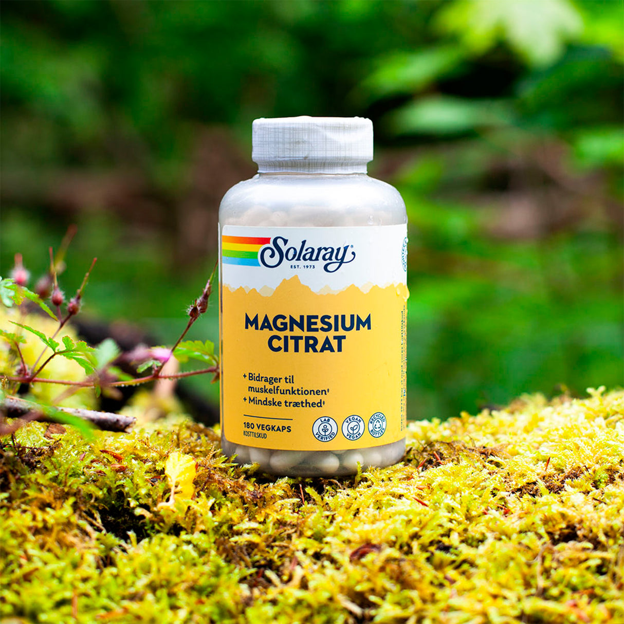 Solaray Magnesium Citrat | 90 kapsler fra Solaray