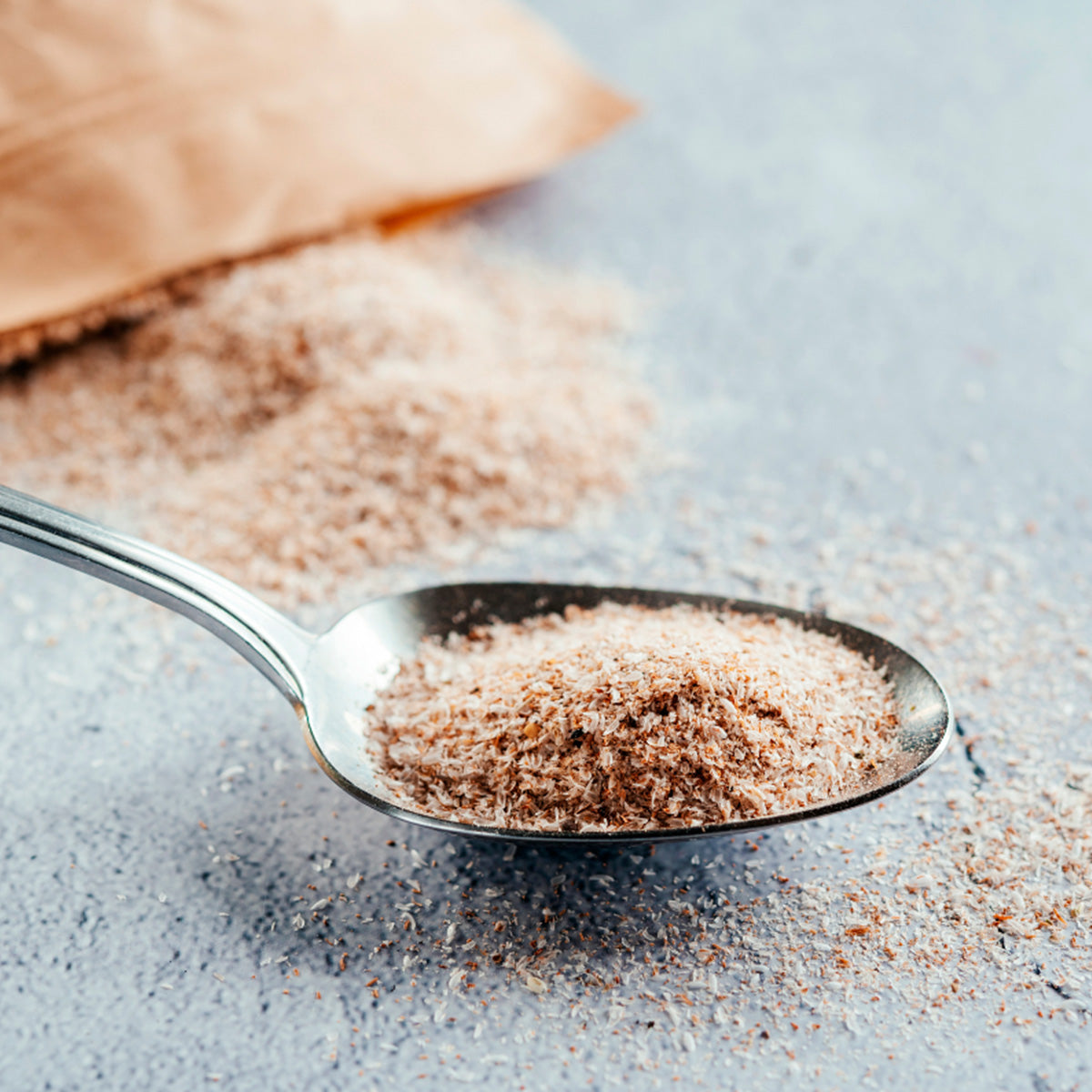 Økologisk Psyllium Husk Loppefrøskaller fra Spis Økologisk