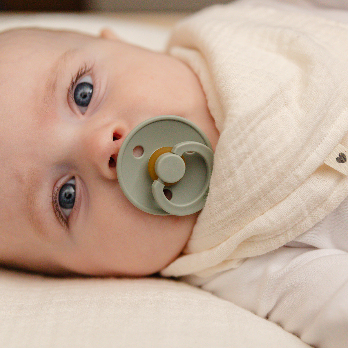 Colour Latex 6mnd+ (Ivory/Sage) 2 stk fra BIBS