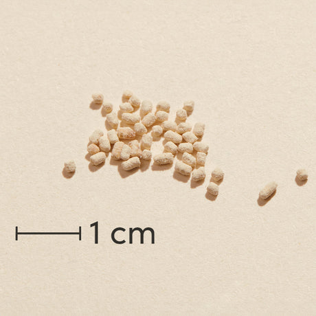 Biosym Omniomega Lecithin | 300 gr fra Biosym