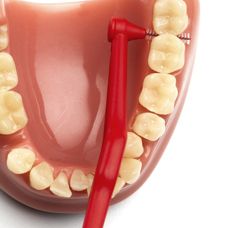 Angle Vinklet Mellomromsbørste fra TePe