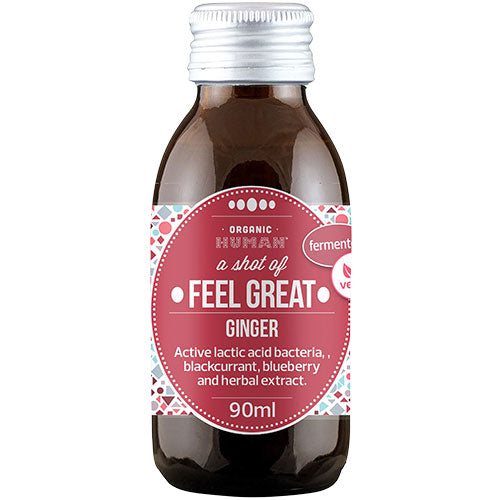 Human Fermenteret Ingefærshot Økologisk fra Human