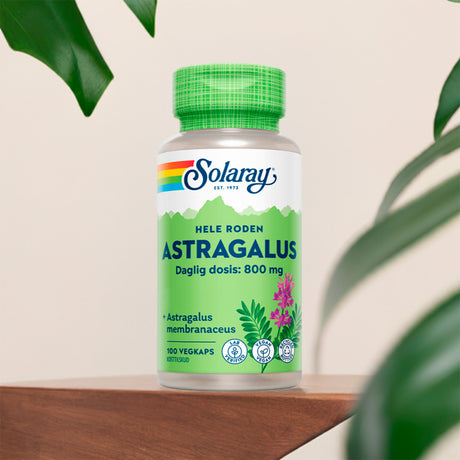 Solaray Astragalus | 100 kapsler fra Solaray