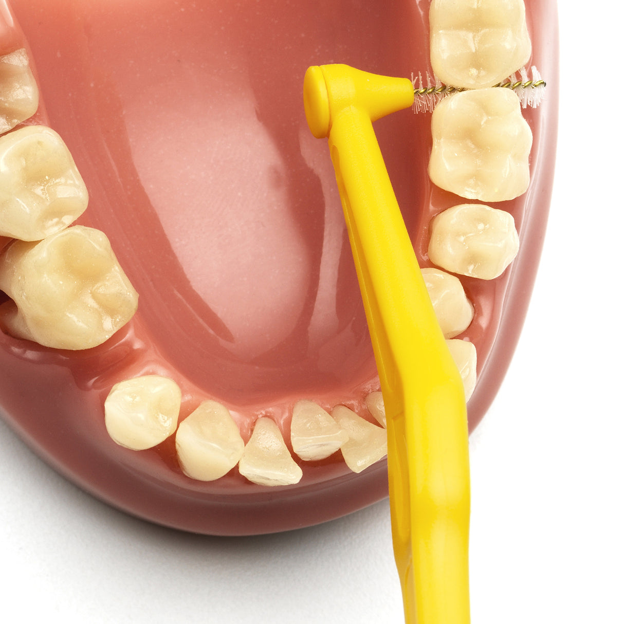 Angle Vinklet Mellomromstannbørste fra TePe