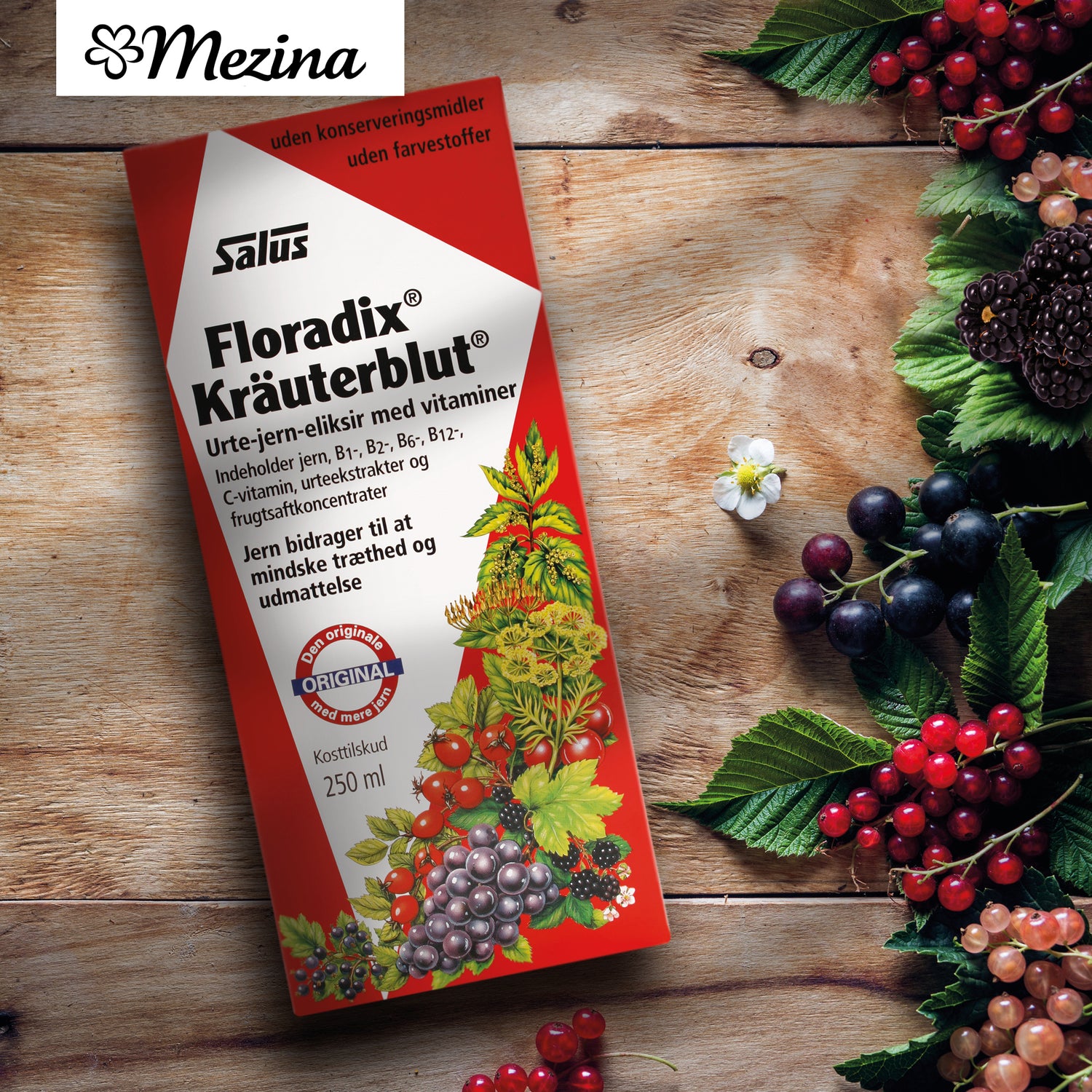 Floradix Kräuterblut Urte-Jernmikstur Flytende Jern med Urter fra Salus