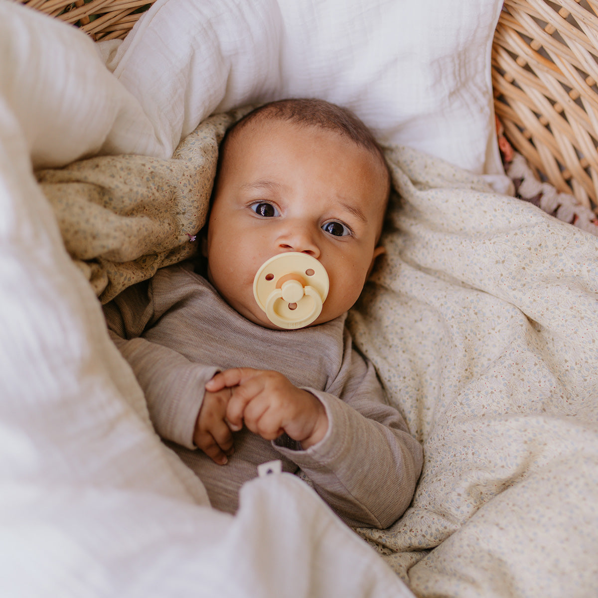 Colour Latex 0-6mnd (Ivory/Dark Oak) 2 stk fra BIBS