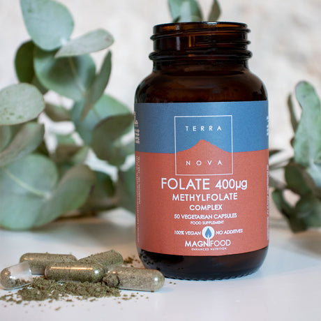 Terranova Folate 400µg | 50 kapsler fra Terranova