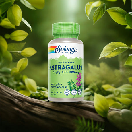 Solaray Astragalus | 100 kapsler fra Solaray