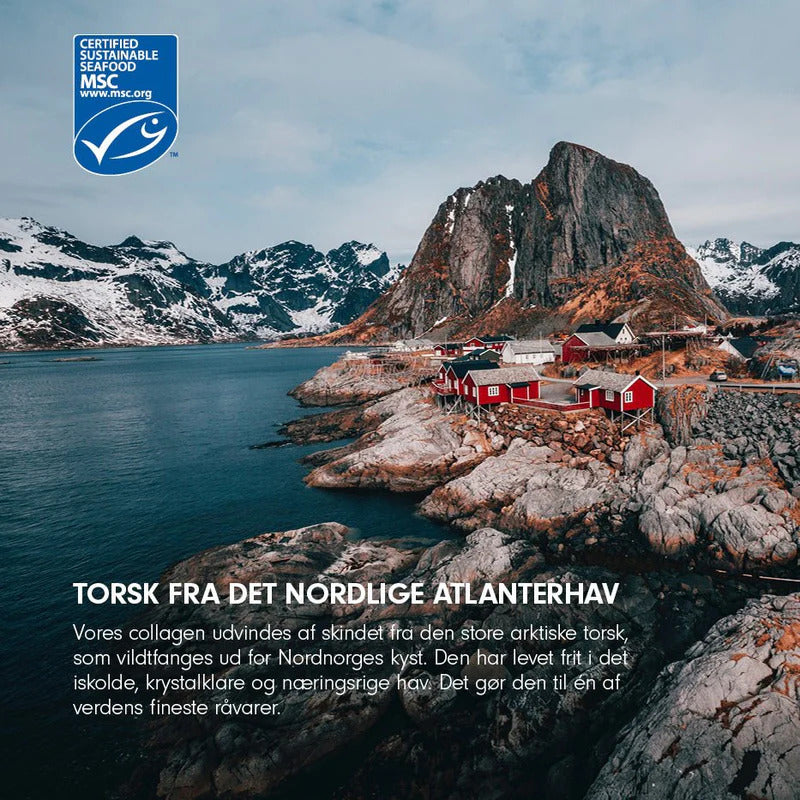 Kollagen Gold fra VILD NORD