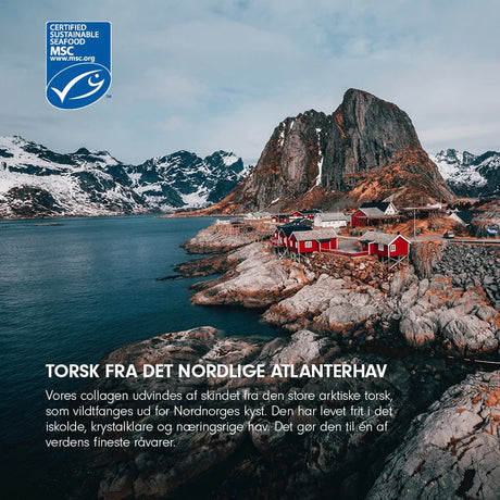 Kollagen Gold fra VILD NORD