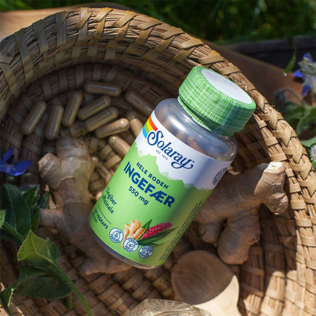 Ingefærrot fra Solaray