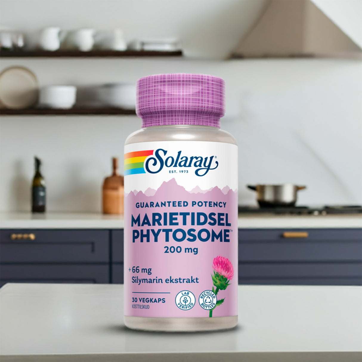 Mariatistel Phytosome fra Solaray