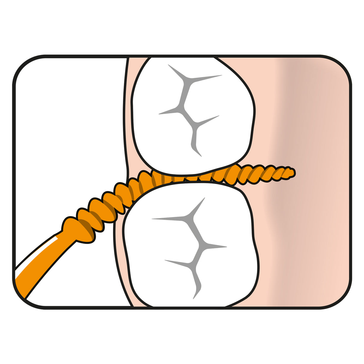 Easypick XS/S fra TePe